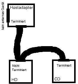 SCSI-Verkabelung